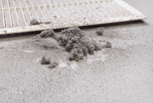 Best Professional Duct Cleaning Services  in Blanding, UT