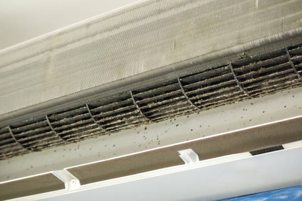 Best Air Duct Cleaning Near Me  in Blanding, UT