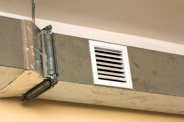 Air Duct Mold Removal in Blanding, UT